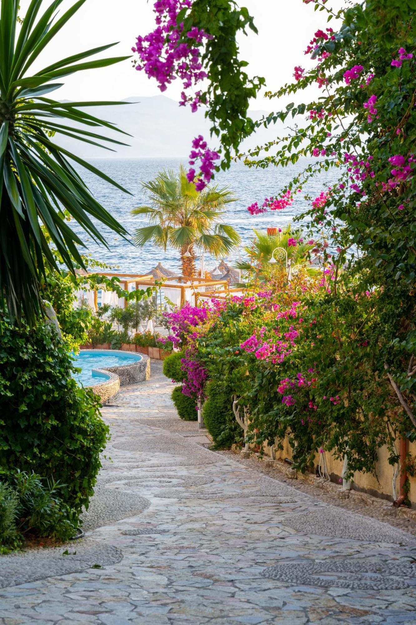 Bougainville Bay