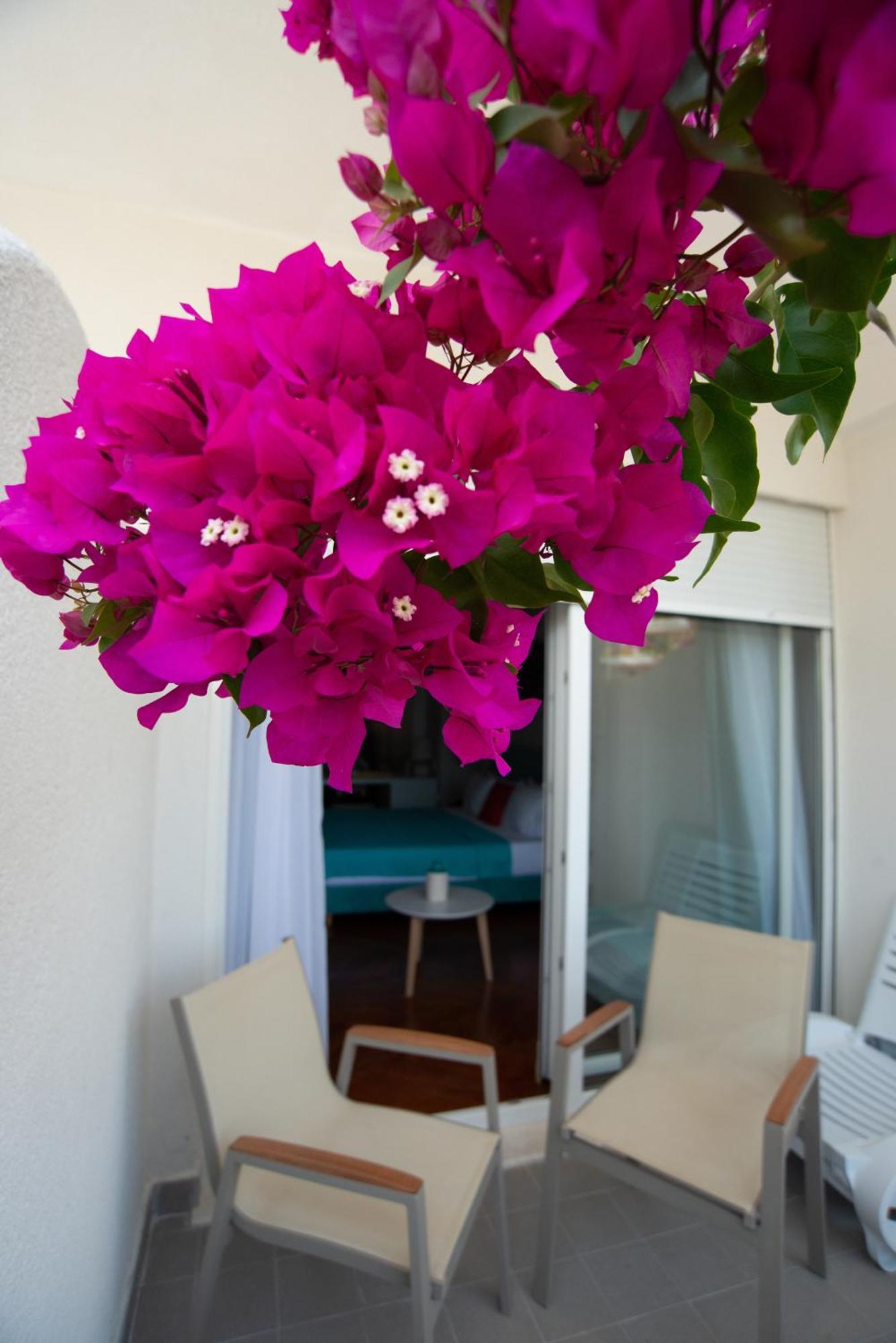 Bougainville Bay Hotel 5*